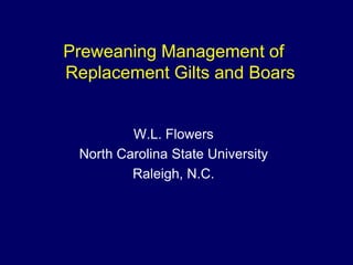 Preweaning Management of
Replacement Gilts and Boars


         W.L. Flowers
 North Carolina State University
         Raleigh, N.C.
 