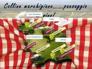 Colline marchigiane……paesaggio
di-vino!
Presentazione di Silvia Gatto, E.O.I Salamanca, a.s 2013/2014
 