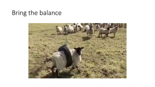 Bring the balance
 
