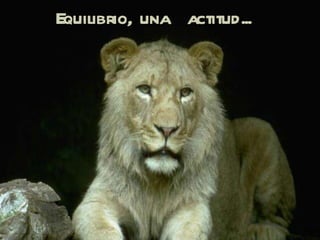 Equilibrio, una  actitud... 