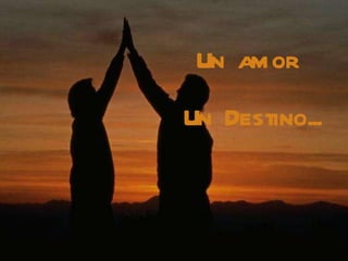 Un amor  Un Destino... 