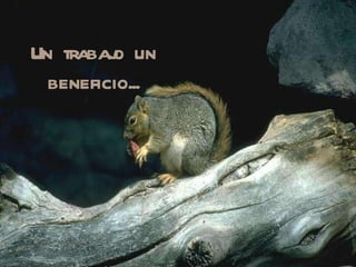 Un trabajo un beneficio... 
