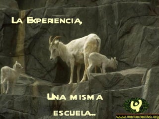 La Experiencia,




       Una misma
        escuela...
 