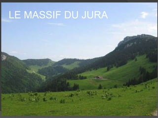 LE MASSIF DU JURA

 