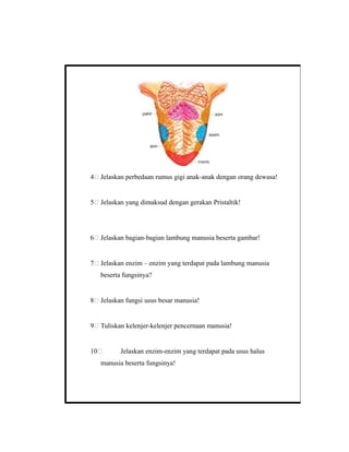 4 Jelaskan perbedaan rumus gigi anak-anak dengan orang dewasa!
5 Jelaskan yang dimaksud dengan gerakan Pristaltik!
6 Jelaskan bagian-bagian lambung manusia beserta gambar!
7 Jelaskan enzim – enzim yang terdapat pada lambung manusia
beserta fungsinya?
8 Jelaskan fungsi usus besar manusia!
9 Tuliskan kelenjer-kelenjer pencernaan manusia!
10 Jelaskan enzim-enzim yang terdapat pada usus halus
manusia beserta fungsinya!
 