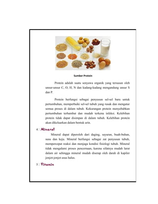 Sumber Protein
Protein adalah suatu senyawa organik yang tersusun oleh
unsur-unsur C, O, H, N dan kadang-kadang mengandung unsur S
dan P.
Protein berfungsi sebagai penyusun sel-sel baru untuk
pertumbuhan, memperbaiki sel-sel tubuh yang rusak dan mengatur
semua proses di dalam tubuh. Kekurangan protein menyebabkan
pertumbuhan terhambat dan mudah terkena infeksi. Kelebihan
protein tidak dapat disimpan di dalam tubuh. Kelebihan protein
akan dikeluarkan dalam bentuk urin.
4 Mineral
Mineral dapat diperoleh dari daging, sayuran, buah-buhan,
susu dan keju. Mineral berfungsi sebagai zat penyusun tubuh,
mempercepat reaksi dan menjaga kondisi fisiologi tubuh. Mineral
tidak mengalami proses pencernaan, karena sifatnya mudah larut
dalam air sehingga mineral mudah diserap oleh darah di kapiler
jonjot-jonjot usus halus.
5 Vitamin
 