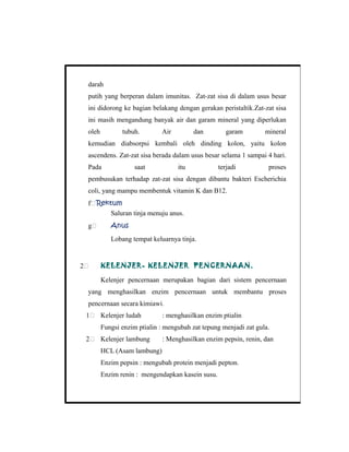 darah
putih yang berperan dalam imunitas. Zat-zat sisa di dalam usus besar
ini didorong ke bagian belakang dengan gerakan peristaltik.Zat-zat sisa
ini masih mengandung banyak air dan garam mineral yang diperlukan
oleh tubuh. Air dan garam mineral
kemudian diabsorpsi kembali oleh dinding kolon, yaitu kolon
ascendens. Zat-zat sisa berada dalam usus besar selama 1 sampai 4 hari.
Pada saat itu terjadi proses
pembusukan terhadap zat-zat sisa dengan dibantu bakteri Escherichia
coli, yang mampu membentuk vitamin K dan B12.
f#Rektum
Saluran tinja menuju anus.
g# Anus
Lobang tempat keluarnya tinja.
2# KELENJER- KELENJER PENCERNAAN.
Kelenjer pencernaan merupakan bagian dari sistem pencernaan
yang menghasilkan enzim pencernaan untuk membantu proses
pencernaan secara kimiawi.
1# Kelenjer ludah : menghasilkan enzim ptialin
Fungsi enzim ptialin : mengubah zat tepung menjadi zat gula.
2# Kelenjer lambung : Menghasilkan enzim pepsin, renin, dan
HCL (Asam lambung)
Enzim pepsin : mengubah protein menjadi pepton.
Enzim renin : mengendapkan kasein susu.
 