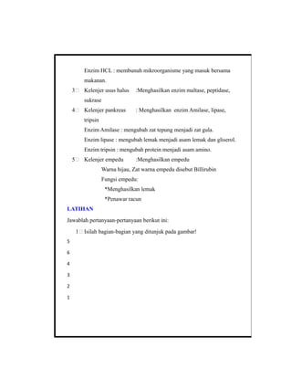 Enzim HCL : membunuh mikroorganisme yang masuk bersama
makanan.
3 Kelenjer usus halus :Menghasilkan enzim maltase, peptidase,
sukrase
4 Kelenjer pankreas : Menghasilkan enzim Amilase, lipase,
tripsin
Enzim Amilase : mengubah zat tepung menjadi zat gula.
Enzim lipase : mengubah lemak menjadi asam lemak dan gliserol.
Enzim tripsin : mengubah protein menjadi asam amino.
5 Kelenjer empedu :Menghasilkan empedu
Warna hijau, Zat warna empedu disebut Billirubin
Fungsi empedu:
*Menghasilkan lemak
*Penawar racun
LATIHAN
Jawablah pertanyaan-pertanyaan berikut ini:
1 Isilah bagian-bagian yang ditunjuk pada gambar!
5
6
4
3
2
1
 