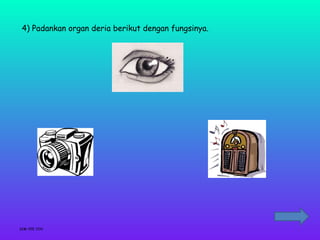 4) Padankan organ deria berikut dengan fungsinya.




SIM YEE YIN
 