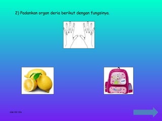 2) Padankan organ deria berikut dengan fungsinya.




SIM YEE YIN
 