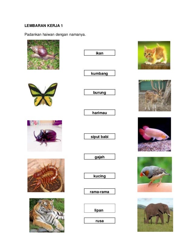 Buku Latihan Sains Tahun 3