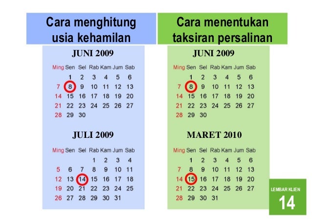 Lembar Balik Kesehatan Reproduksi Dan Seksial Bagi Calon Pengantin