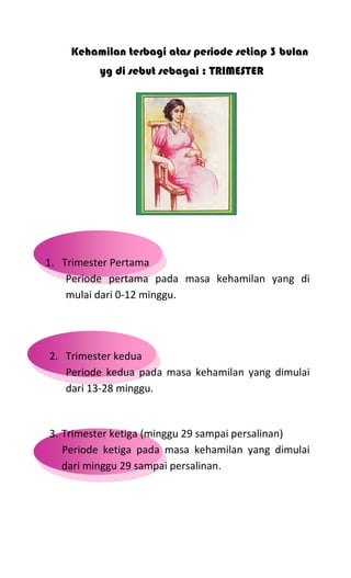 Kehamilan terbagi atas periode setiap 3 bulan
yg di sebut sebagai : TRIMESTER
1. Trimester Pertama
Periode pertama pada masa kehamilan yang di
mulai dari 0-12 minggu.
2. Trimester kedua
Periode kedua pada masa kehamilan yang dimulai
dari 13-28 minggu.
3. Trimester ketiga (minggu 29 sampai persalinan)
Periode ketiga pada masa kehamilan yang dimulai
dari minggu 29 sampai persalinan.
 