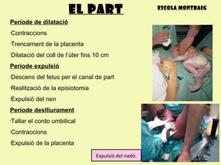 El part                        Escola montbaig


Període de dilatació
Contraccions
•



Trencament de la placenta
•



Dil...