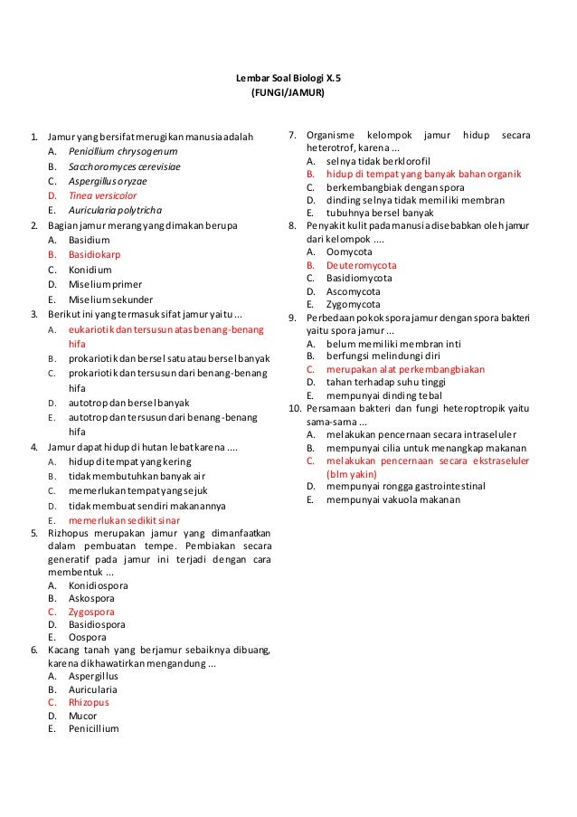 Lembar Soal Biologi X 5