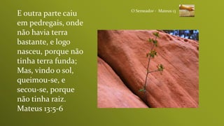 O Semeador - Mateus 13
E outra parte caiu
em pedregais, onde
não havia terra
bastante, e logo
nasceu, porque não
tinha terra funda;
Mas, vindo o sol,
queimou-se, e
secou-se, porque
não tinha raiz.
Mateus 13:5-6
 
