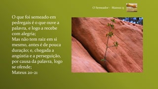 O que foi semeado em
pedregais é o que ouve a
palavra, e logo a recebe
com alegria;
Mas não tem raiz em si
mesmo, antes é de pouca
duração; e, chegada a
angústia e a perseguição,
por causa da palavra, logo
se ofende;
Mateus 20-21
O Semeador - Mateus 13
 