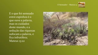 E o que foi semeado
entre espinhos é o
que ouve a palavra,
mas os cuidados
deste mundo, e a
sedução das riquezas
sufocam a palavra, e
fica infrutífera;
Mateus 13:22
O Semeador - Mateus 13
 