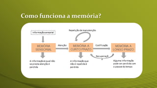 Como funciona a memória?
 