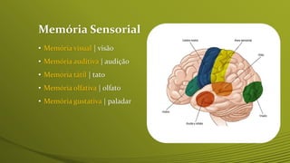 Memória Sensorial
• Memória visual | visão
• Memória auditiva | audição
• Memória tátil | tato
• Memória olfativa | olfato
• Memória gustativa | paladar
 