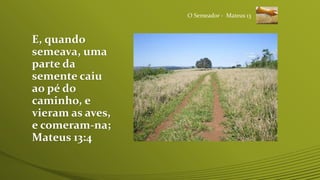 E, quando
semeava, uma
parte da
semente caiu
ao pé do
caminho, e
vieram as aves,
e comeram-na;
Mateus 13:4
O Semeador - Mateus 13
 