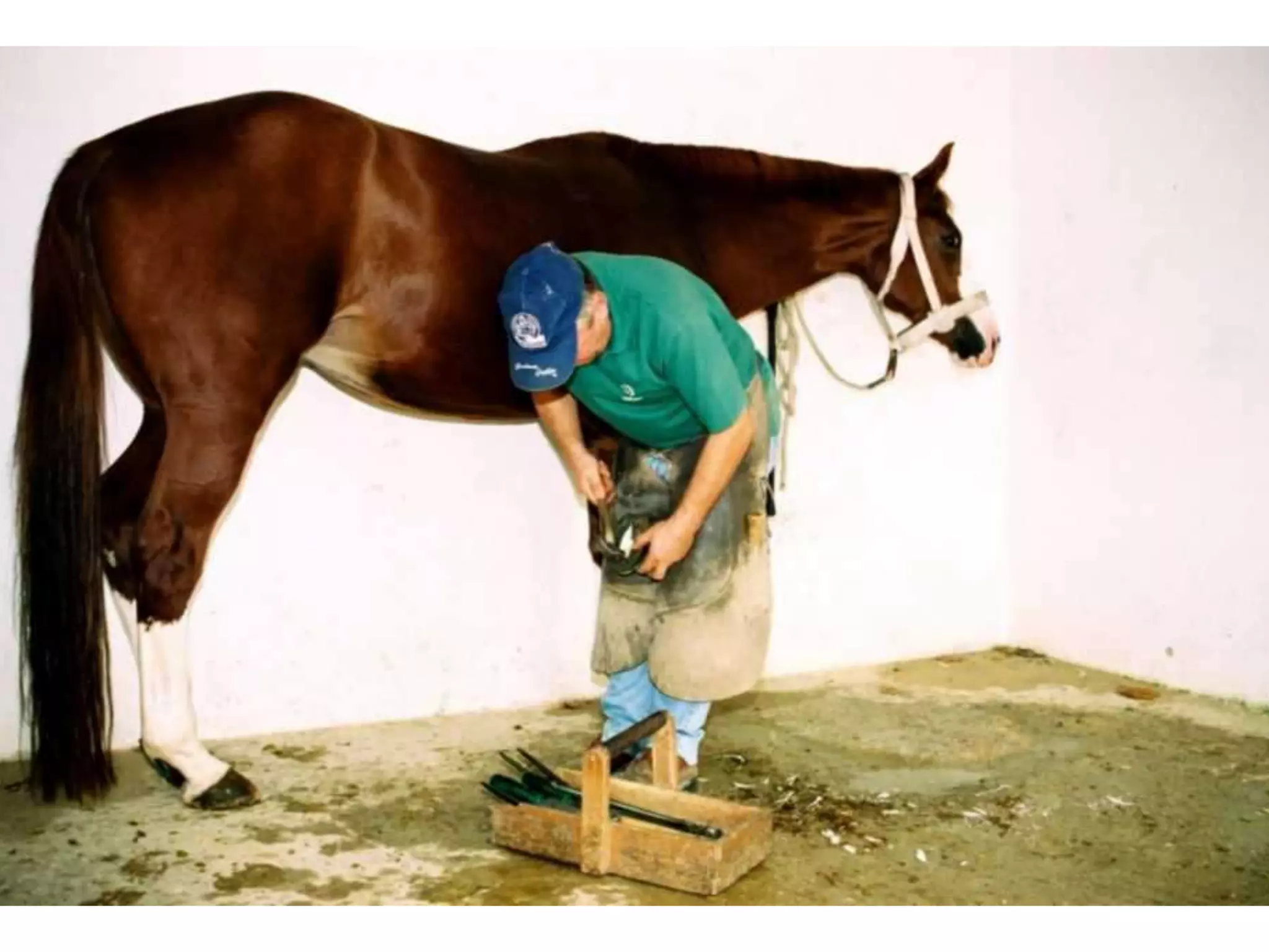 Lembra os nomes destas coisas todas