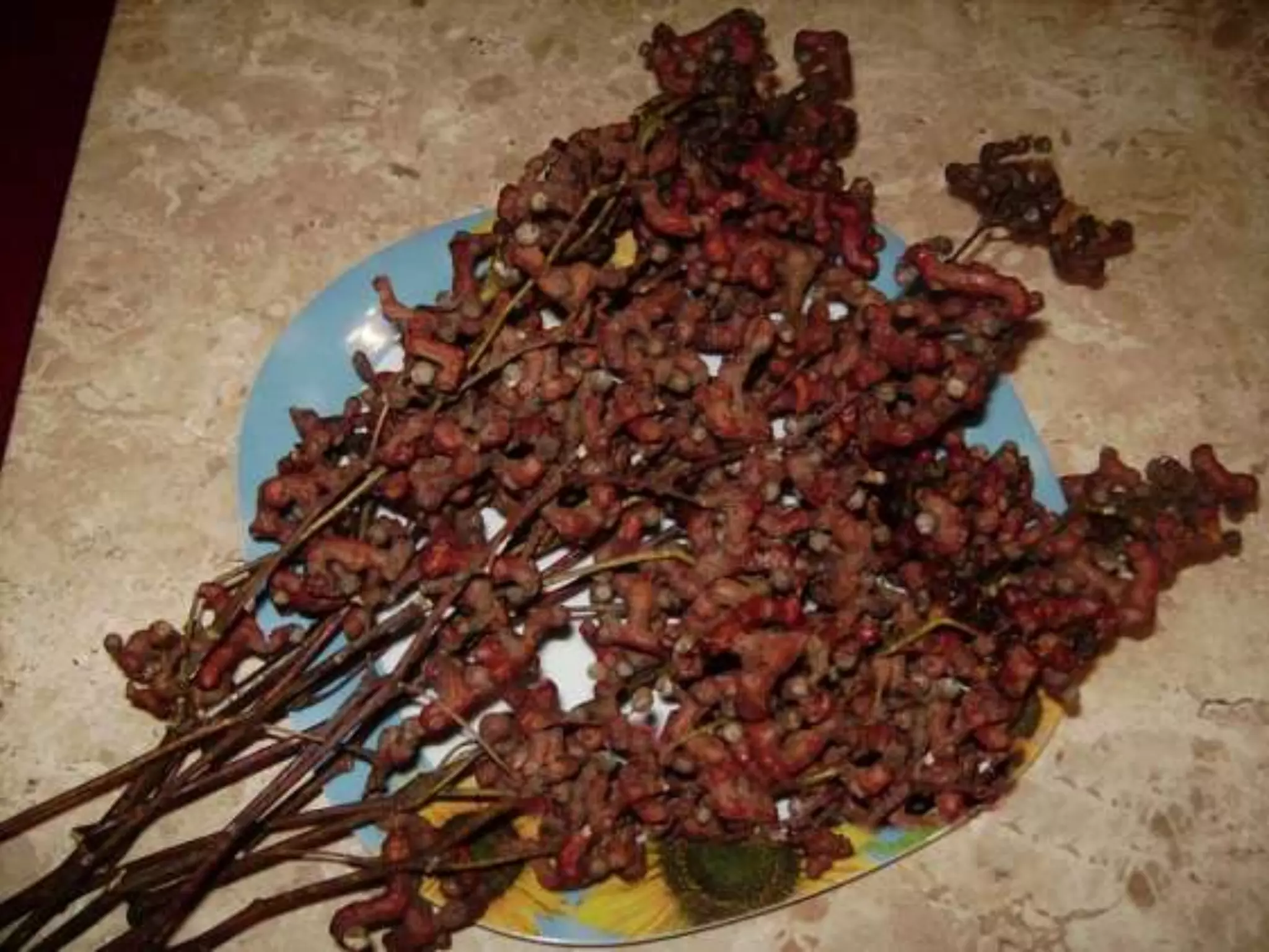 Lembra os nomes destas coisas todas