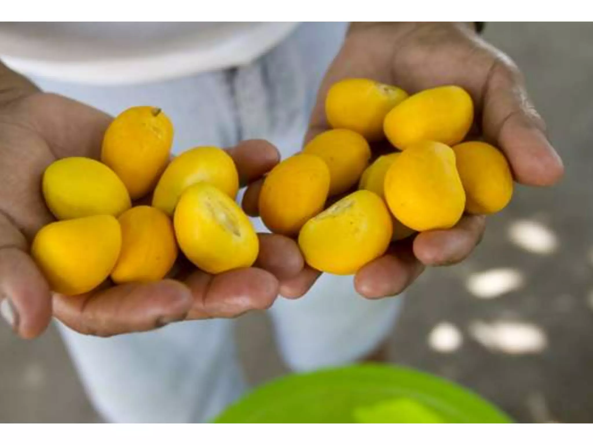 Lembra os nomes destas coisas todas