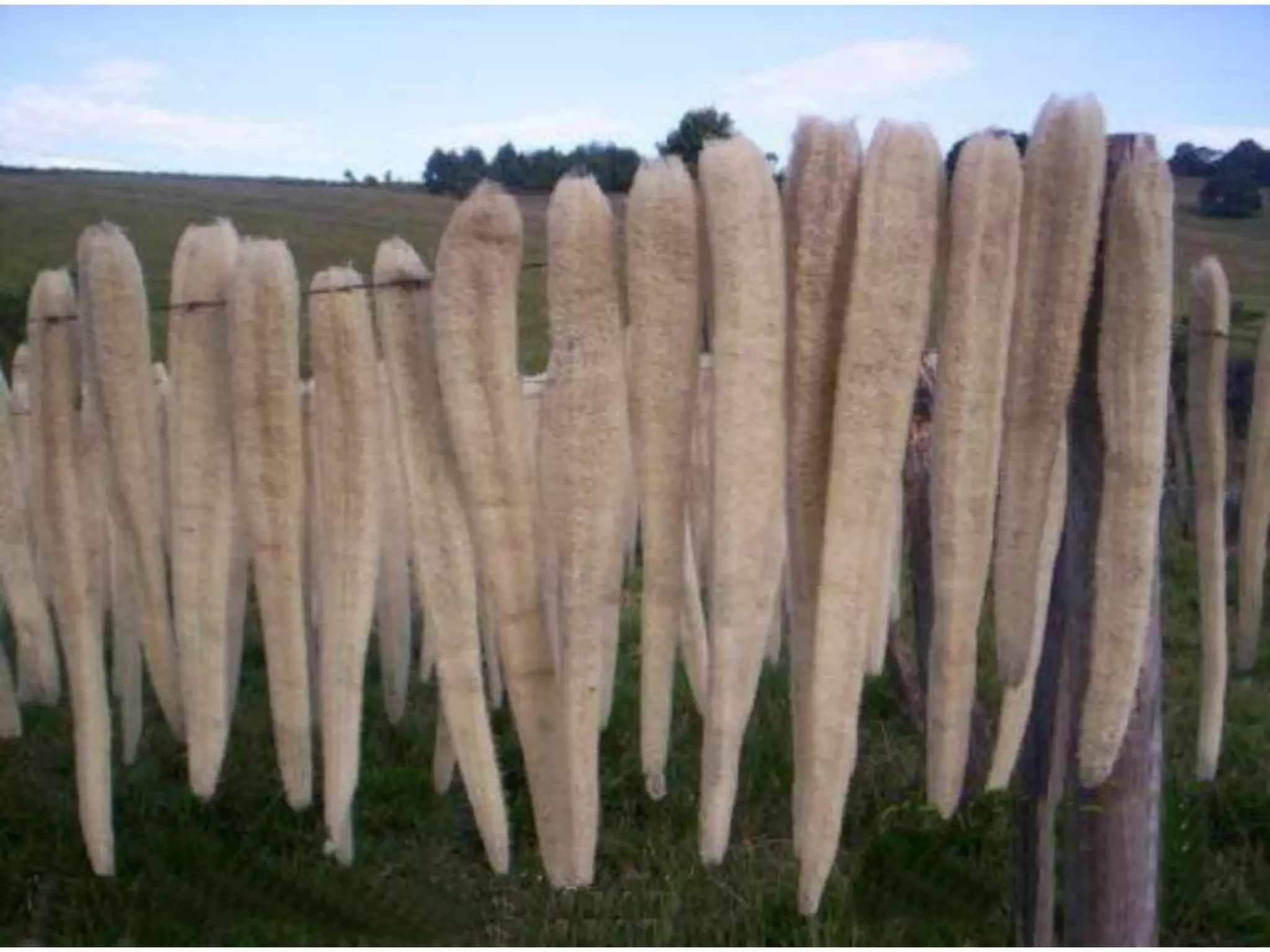 Lembra os nomes destas coisas todas