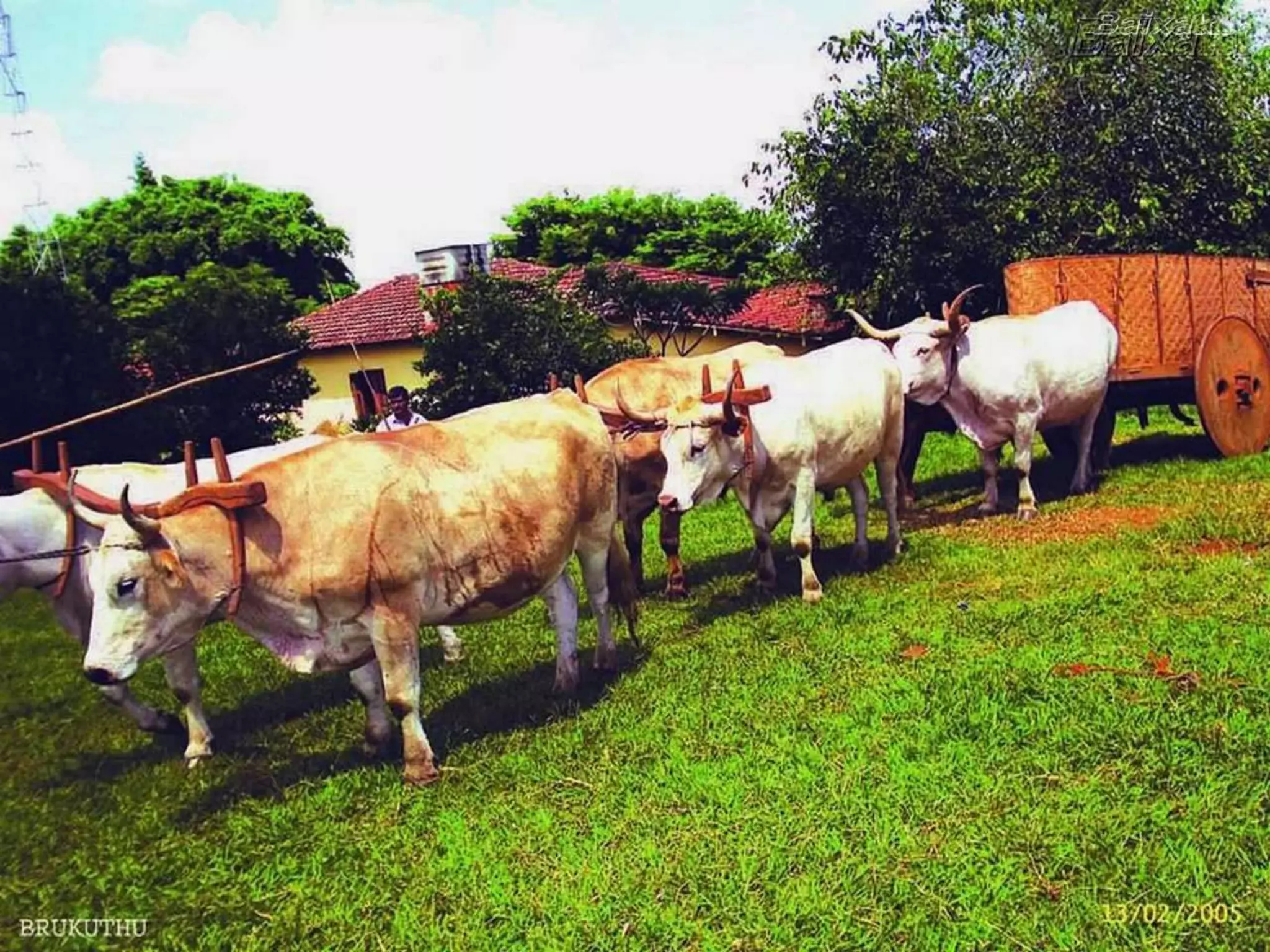 Lembra os nomes destas coisas todas