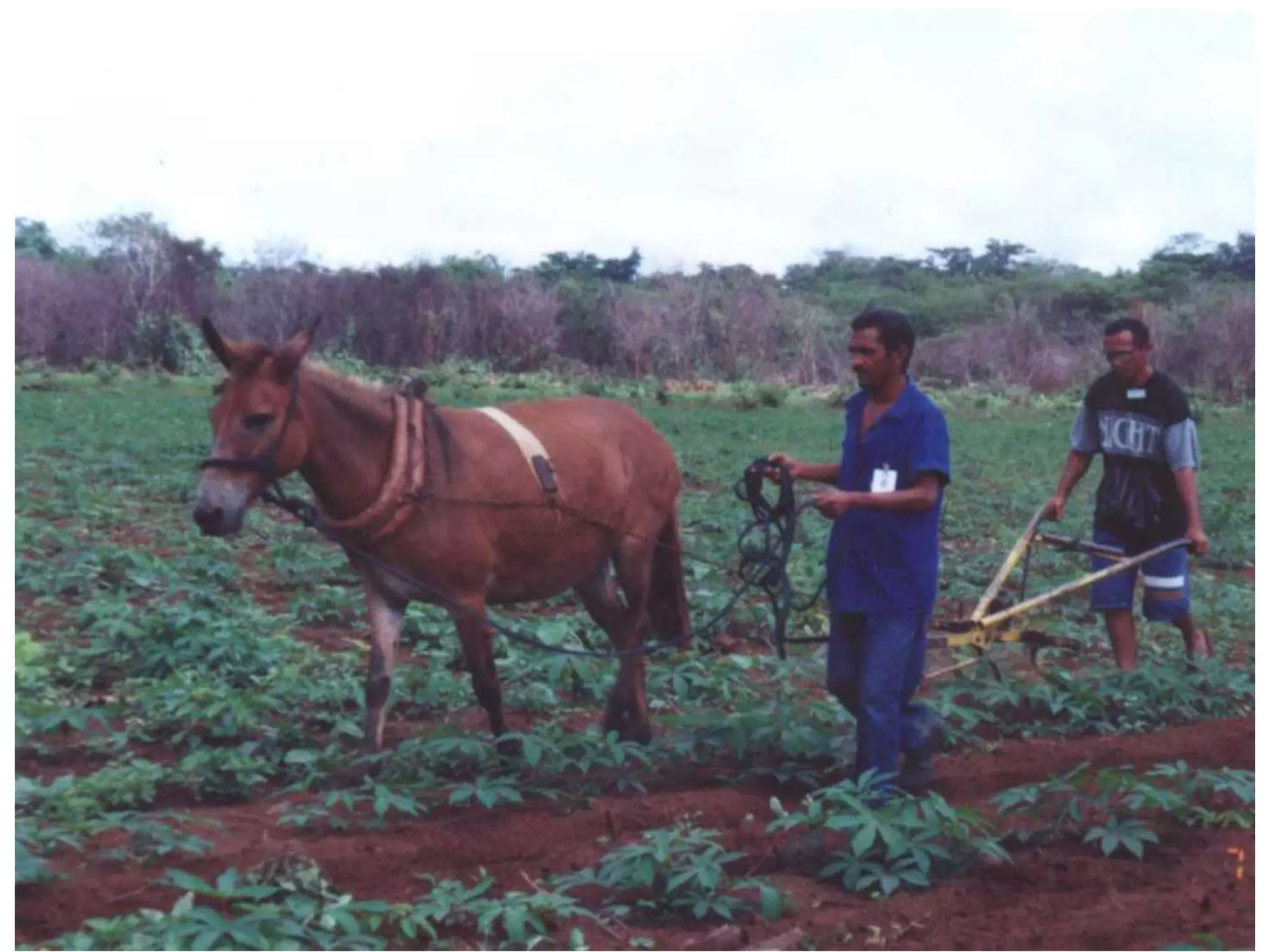 Lembra os nomes destas coisas todas