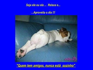 Seja ele ou ela ...  Relaxa e...    ... Aproveita o dia !!!  "Quem tem amigos, nunca está  sozinho"  