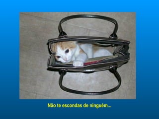 Não te escondas de ninguém... 