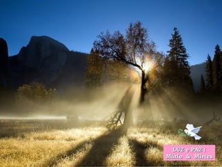 LUZ e PAZ !LUZ e PAZ !
Mário & MirtesMário & Mirtes
 