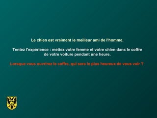 Le chien est vraiment le meilleur ami de l'homme. Tentez l'expérience : mettez votre femme et votre chien dans le coffre de votre voiture pendant une heure. Lorsque vous ouvrirez le coffre, qui sera le plus heureux de vous voir ?   