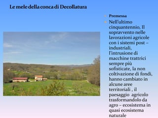 Le mele della conca di DecollaturaPremessaNell’ultimo cinquantennio, Il sopravvento nelle lavorazioni agricole con i sistemi post – industriali, l’intrusione di macchine trattrici sempre più sofisticate, la non coltivazione di fondi, hanno cambiato in alcune aree territoriali , il paesaggio  agricolo trasformandolo da agro – ecosistema in quasi ecosistema naturale
