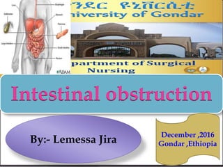 1/26/2017 by:- Lemessa J. 1
Intestinal obstruction
By:- Lemessa Jira
December ,2016
Gondar ,Ethiopia
 