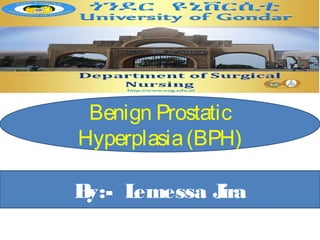 Benign Prostatic
Hyperplasia(BPH)
By:- Lemessa Jira
 