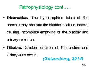 Pathophysiology cont….
• Obstruction. The hypertrophied lobes of the
prostate may obstruct the bladder neck or urethra,
ca...