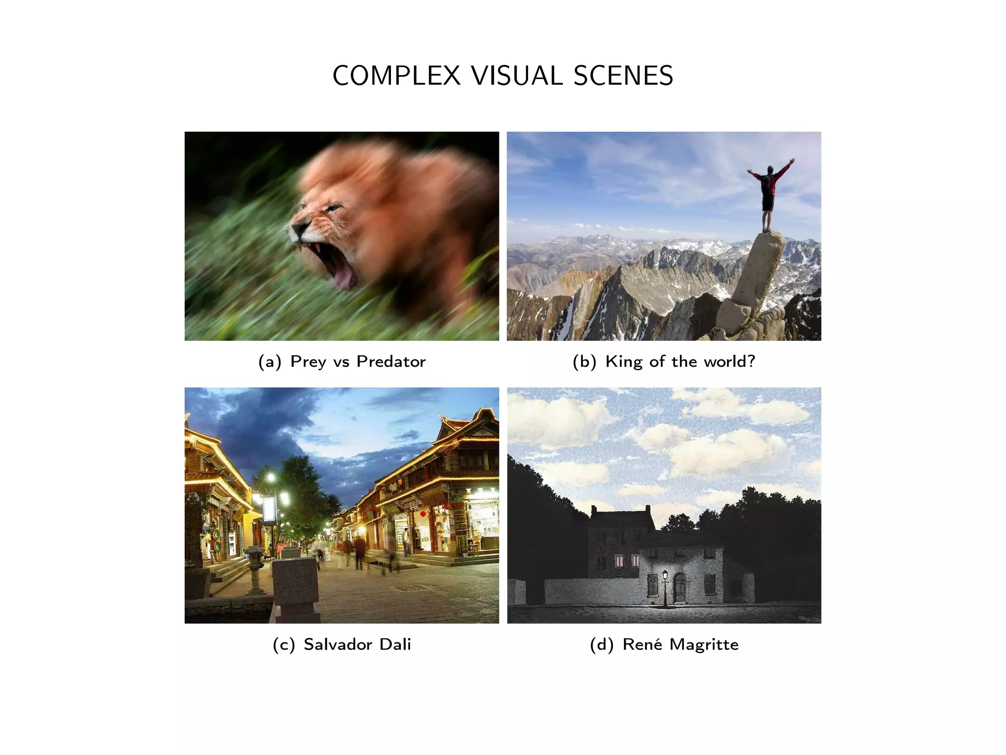 COMPLEX VISUAL SCENES
(a) Prey vs Predator (b) King of the world?
(c) Salvador Dali (d) René Magritte
 