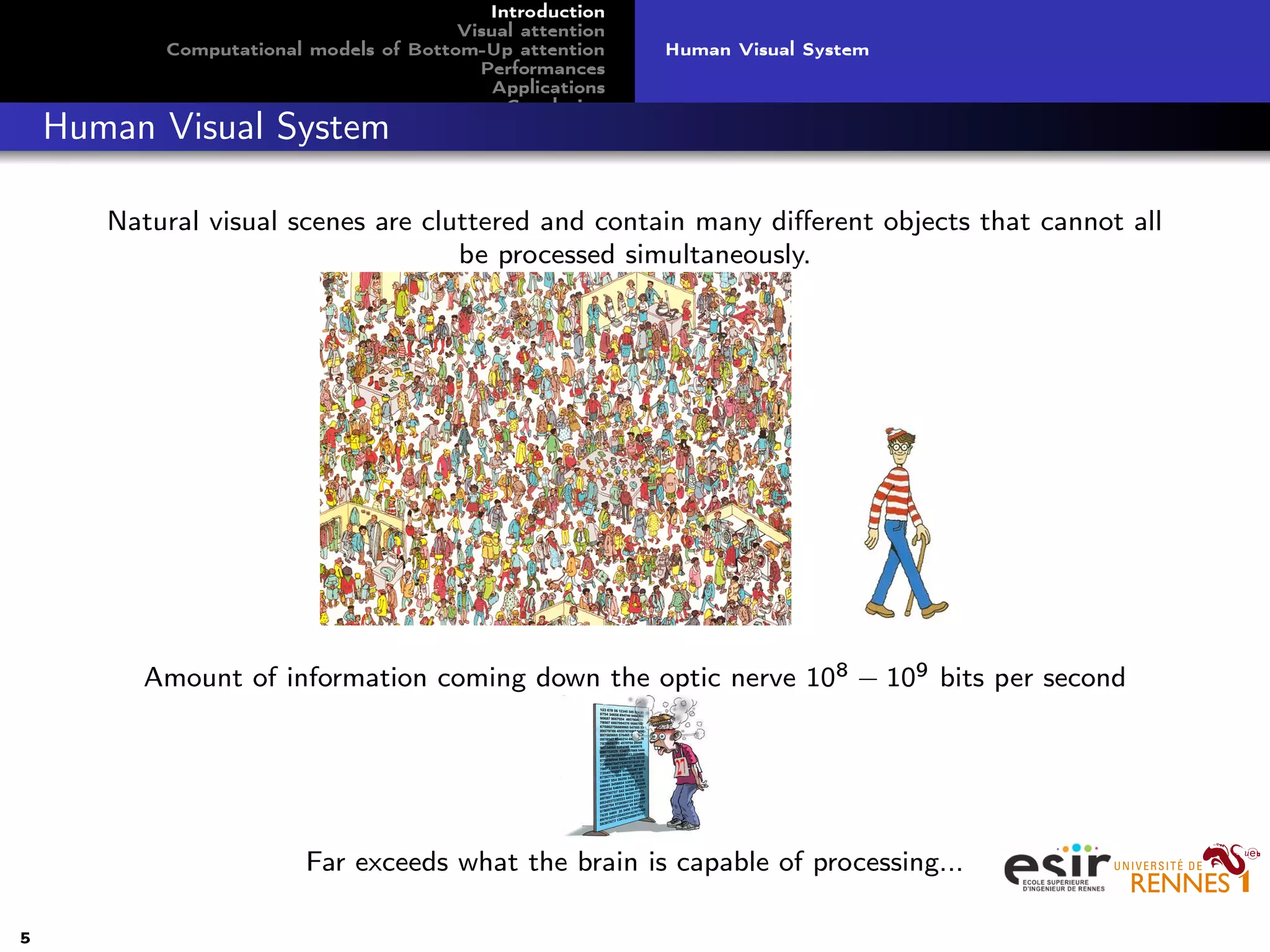 Introduction
Visual attention
Computational models of Bottom-Up attention
Performances
Applications
Conclusion
Human Visual System
Human Visual System
Natural visual scenes are cluttered and contain many diﬀerent objects that cannot all
be processed simultaneously.
Amount of information coming down the optic nerve 108 − 109 bits per second
Far exceeds what the brain is capable of processing...
5
 