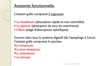 Franck Rencurel BTS 2020 2
Anatomie fonctionnelle:
L’intestin grêle comprend 3 segments:
 Le duodénum (absorption rapide et non contrôlée)
 Le jéjunum (absorption de tous les nutriments)
 L’Iléon (siège d’absorptions spécifiques)
Comme dans tout le système digestif (de l’œsophage à l’anus)
l’intestin grêle comprend 4 couches:
La muqueuse,
La sous muqueuse,
La musculeuse
 La séreuse
 