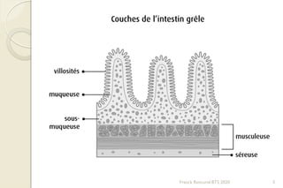 Franck Rencurel BTS 2020 3
 
