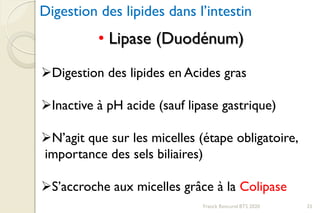 Digestion des lipides dans l’intestin
• Lipase (Duodénum)
Digestion des lipides en Acides gras
Inactive à pH acide (sauf lipase gastrique)
N’agit que sur les micelles (étape obligatoire,
importance des sels biliaires)
S’accroche aux micelles grâce à la Colipase
33Franck Rencurel BTS 2020
 