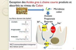 Exception des Acides gras à chaine courte produits et
absorbés au niveau du Colon
Microbiote
colon
Acetate
Propionate
ButyrateH+
Na+
MCT
SLC
MCT: monocarboxylate transporter
SLC: Solute carrier
35
MCT ?
Franck Rencurel BTS 2020
Les fibres donnent des lipides!
 