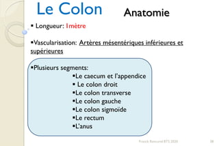 Le Colon
Franck Rencurel BTS 2020 38
Anatomie
 Longueur: 1mètre
Vascularisation: Artères mésentériques inférieures et
supérieures
Plusieurs segments:
Le caecum et l’appendice
 Le colon droit
Le colon transverse
Le colon gauche
Le colon sigmoïde
Le rectum
L’anus
 