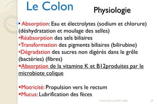 Le Colon
Franck Rencurel BTS 2020 39
Physiologie
• Absorption: Eau et électrolytes (sodium et chlorure)
(déshydratation et moulage des selles)
•Réabsorption des sels biliaires
•Transformation des pigments biliaires (bilirubine)
•Dégradation des sucres non digérés dans le grêle
(bactéries) (fibres)
Absorption de la vitamine K et B12produites par le
microbiote colique
Motricité: Propulsion vers le rectum
Mucus: Lubrification des fèces
 