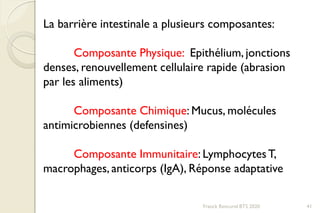 Franck Rencurel BTS 2020 41
La barrière intestinale a plusieurs composantes:
Composante Physique: Epithélium, jonctions
denses, renouvellement cellulaire rapide (abrasion
par les aliments)
Composante Chimique: Mucus, molécules
antimicrobiennes (defensines)
Composante Immunitaire: LymphocytesT,
macrophages, anticorps (IgA), Réponse adaptative
 