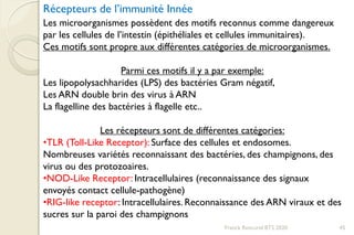 Franck Rencurel BTS 2020 45
Récepteurs de l’immunité Innée
Les microorganismes possèdent des motifs reconnus comme dangereux
par les cellules de l’intestin (épithéliales et cellules immunitaires).
Ces motifs sont propre aux différentes catégories de microorganismes.
Parmi ces motifs il y a par exemple:
Les lipopolysachharides (LPS) des bactéries Gram négatif,
Les ARN double brin des virus à ARN
La flagelline des bactéries à flagelle etc..
Les récepteurs sont de différentes catégories:
•TLR (Toll-Like Receptor): Surface des cellules et endosomes.
Nombreuses variétés reconnaissant des bactéries, des champignons, des
virus ou des protozoaires.
•NOD-Like Receptor: Intracellulaires (reconnaissance des signaux
envoyés contact cellule-pathogène)
•RIG-like receptor: Intracellulaires. Reconnaissance des ARN viraux et des
sucres sur la paroi des champignons
 