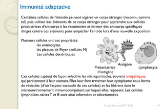 Franck Rencurel BTS 2020 47
Immunité adaptative
Certaines cellules de l’intestin peuvent ingérer un corps étranger (reconnu comme
tel) puis utiliser des éléments de ce corps étranger pour apprendre aux cellules
productrices d’anticorps à les reconnaitre et former des anticorps spécifiques
dirigés contre ces éléments pour empêcher l’entrée lors d’une nouvelle exposition.
Plusieurs cellules ont ces propriétés:
les entérocytes
les plaques de Peyer (cellules M)
Les cellules dendritiques
Présentatrice
d’antigène
Antigène
Lymphocyte
Ces cellules captent de façon sélective les microparticules, souvent antigéniques,
qui parviennent à leur contact. Elles leur font traverser leur cytoplasme sous forme
de vésicules (d’où l’aspect vaccuolé de ces cellules) et les libèrent dans le
microenvironnement immunocompétent sur lequel elles reposent. Les cellules
lymphoïdes naïvesT et B sont ainsi informées et sélectionnées
 